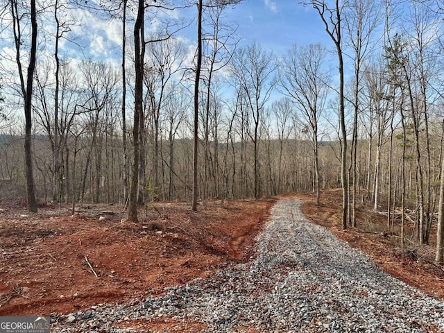 4.09 Yancy Dr, Dawsonville, GA 30534