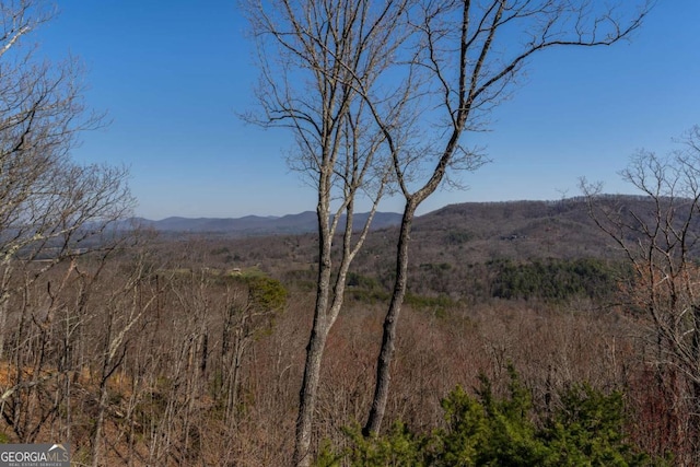 view of mountain feature