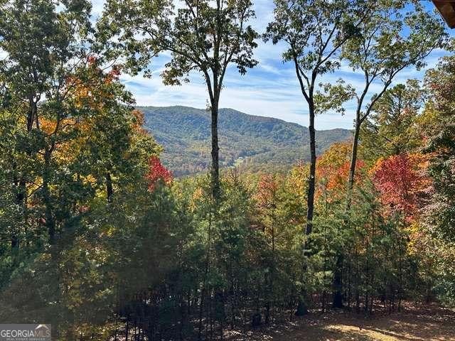 view of mountain feature featuring a forest view