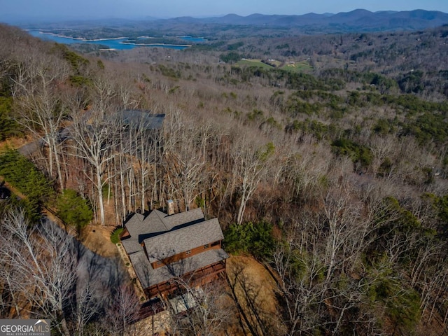 birds eye view of property with a mountain view