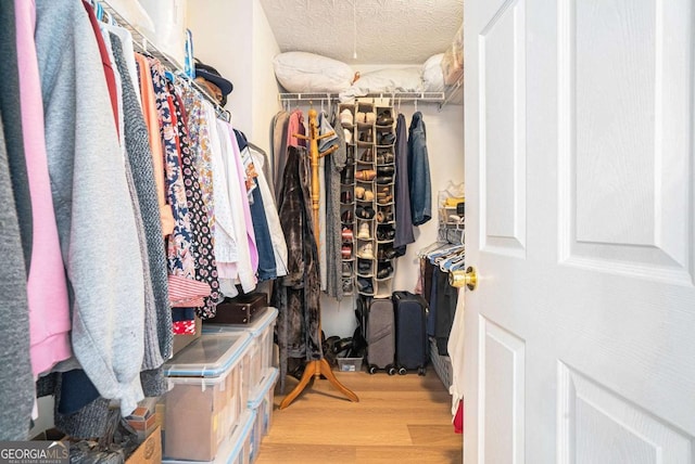 walk in closet featuring wood finished floors