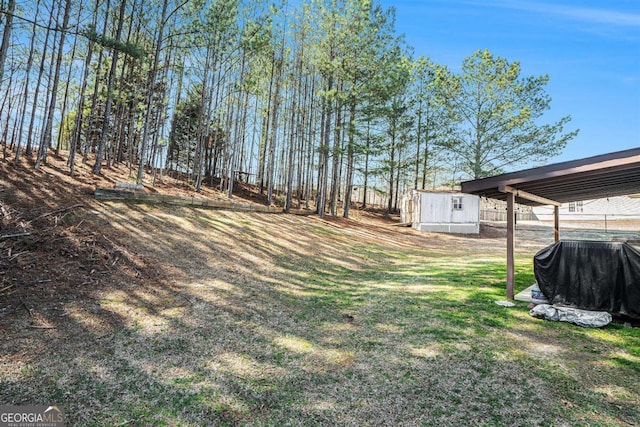 view of yard featuring an outbuilding and a storage shed