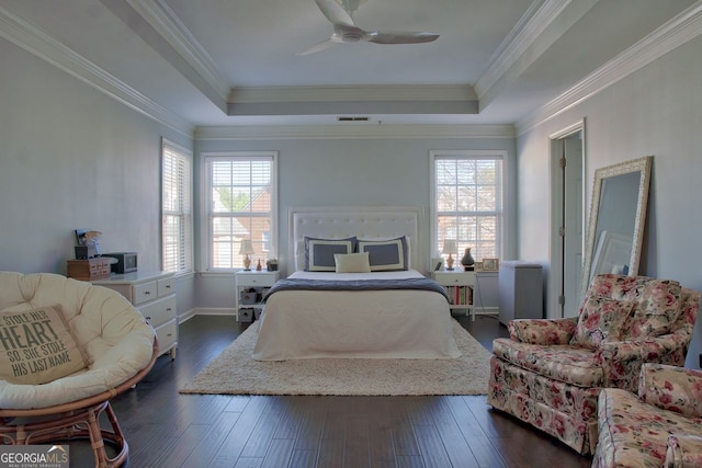 bedroom with multiple windows, a raised ceiling, and dark wood-style flooring