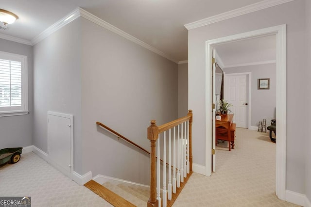 stairs with baseboards, carpet, and ornamental molding