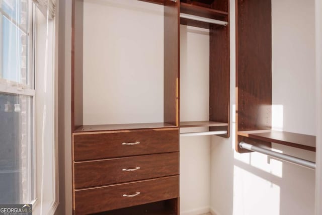 view of spacious closet