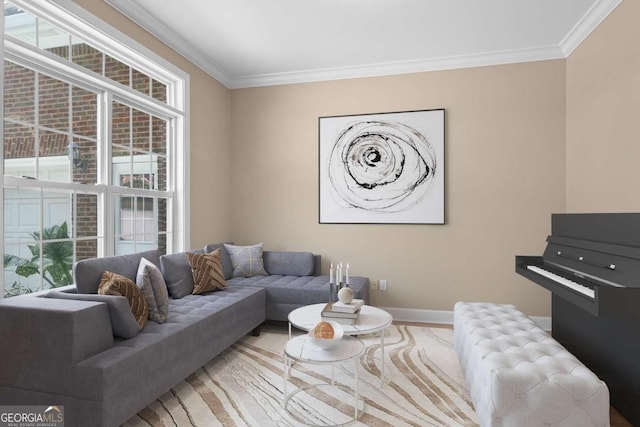 living area featuring crown molding and baseboards