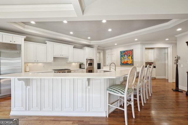 kitchen featuring a tray ceiling, stainless steel appliances, a large island with sink, and light wood finished floors