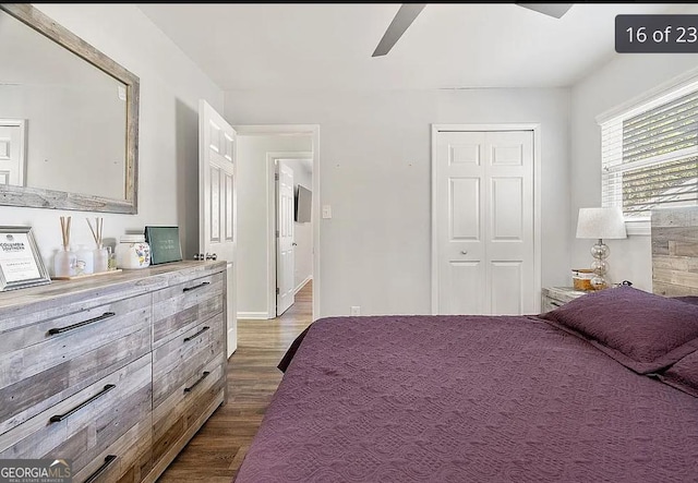 bedroom with a closet, wood finished floors, and a ceiling fan