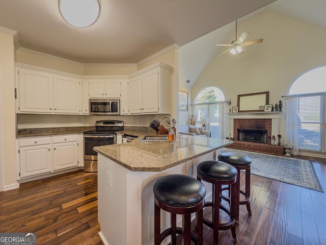 kitchen featuring dark wood-type flooring, ceiling fan, a peninsula, stainless steel appliances, and a sink