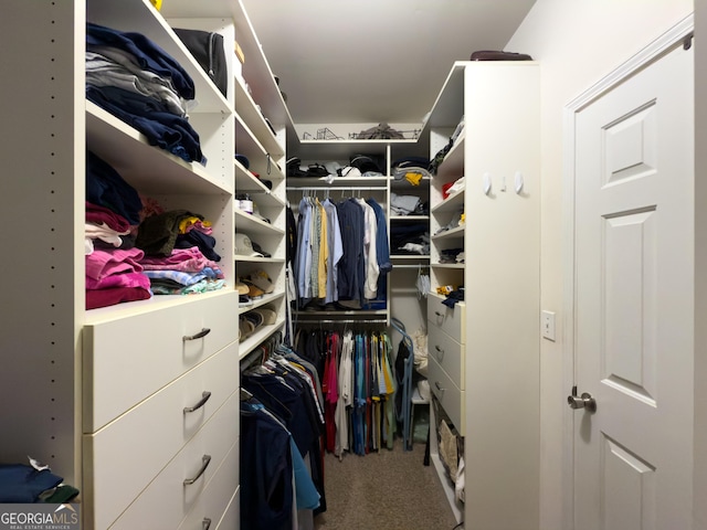 walk in closet featuring carpet flooring