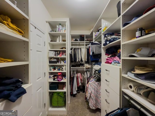 walk in closet featuring carpet floors