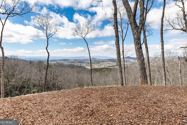 property view of mountains featuring a forest view