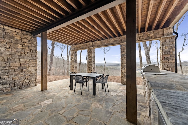 view of patio with area for grilling and outdoor dining area