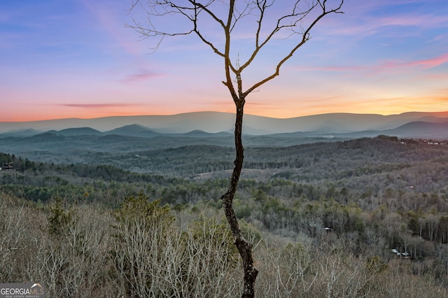 property view of mountains featuring a view of trees