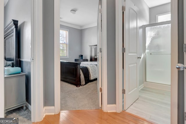 corridor with crown molding, baseboards, and light wood finished floors