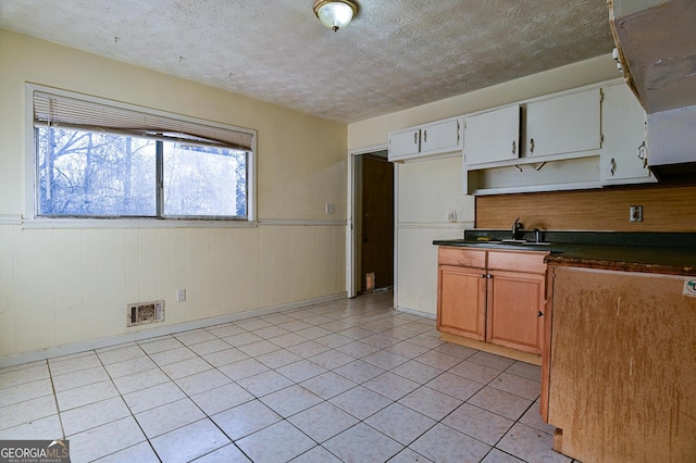 kitchen with visible vents, a wainscoted wall, a sink, dark countertops, and a textured ceiling