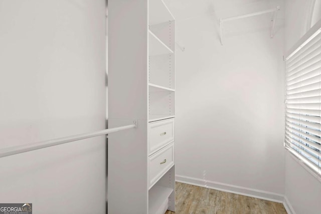 spacious closet with light wood-style flooring