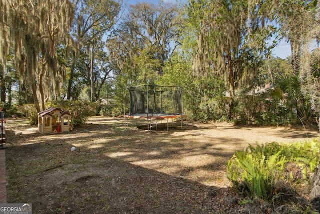 view of yard with an outbuilding and a trampoline