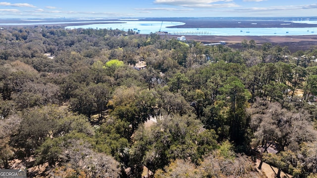 birds eye view of property featuring a wooded view and a water view