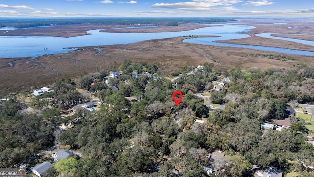 birds eye view of property with a view of trees and a water view