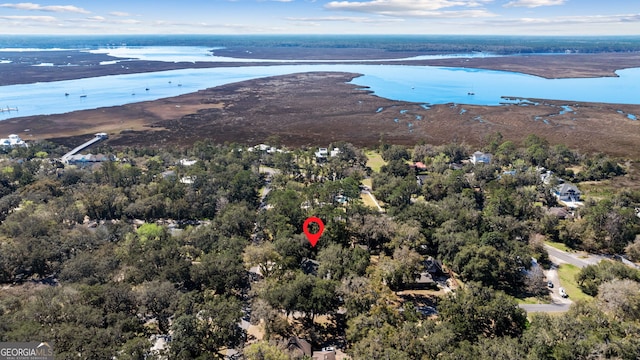 aerial view with a view of trees and a water view