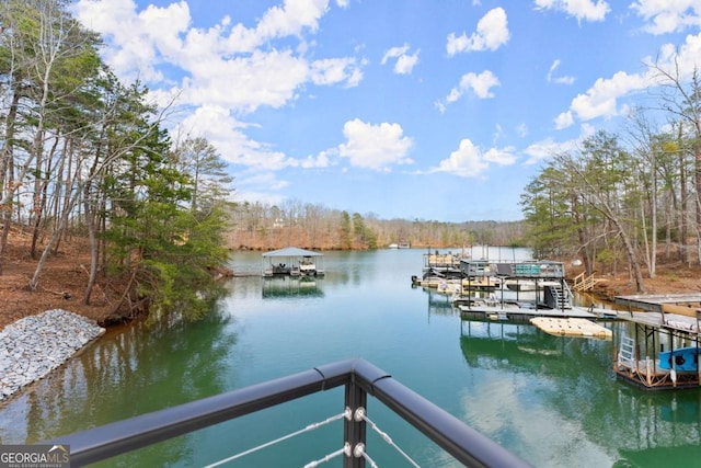 dock area with a water view