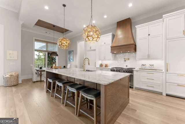 kitchen featuring white cabinets, a raised ceiling, stainless steel stove, and premium range hood