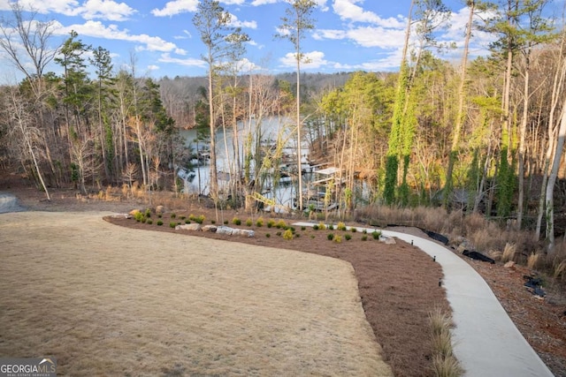 view of yard featuring a wooded view