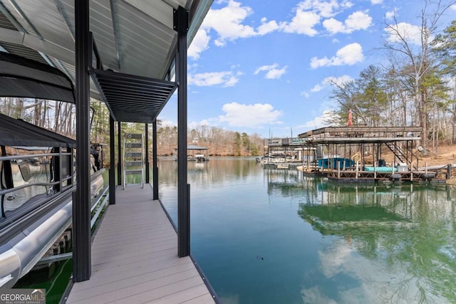 dock area with a water view