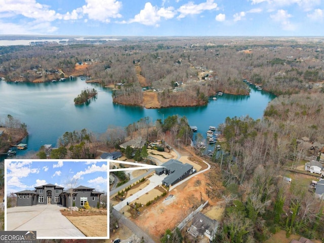 drone / aerial view with a view of trees and a water view