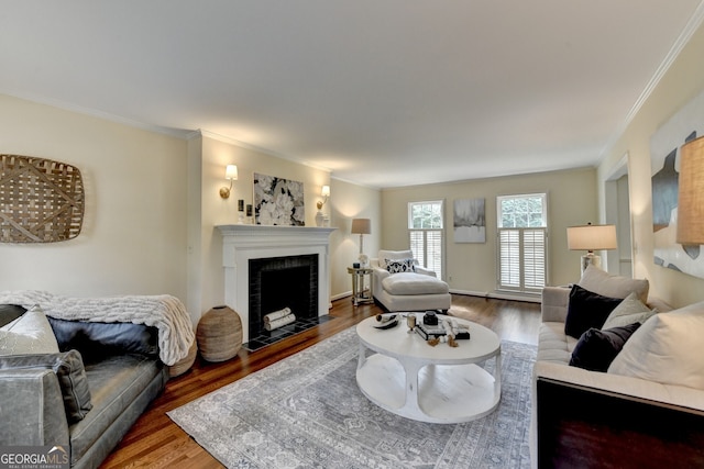 living area featuring crown molding, a fireplace with flush hearth, and wood finished floors