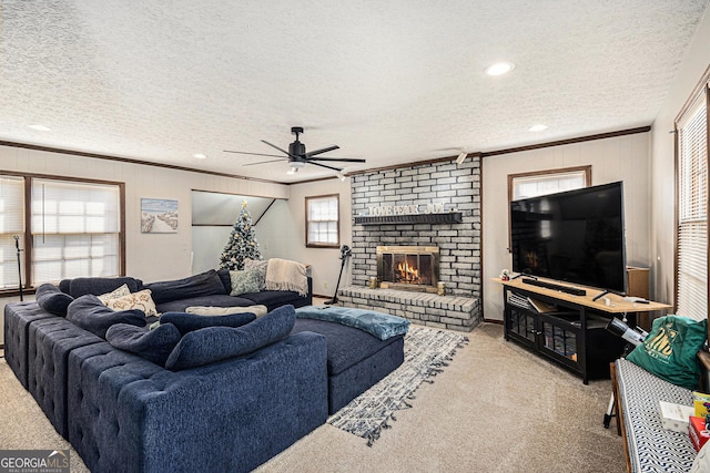 carpeted living room featuring crown molding, plenty of natural light, and ceiling fan