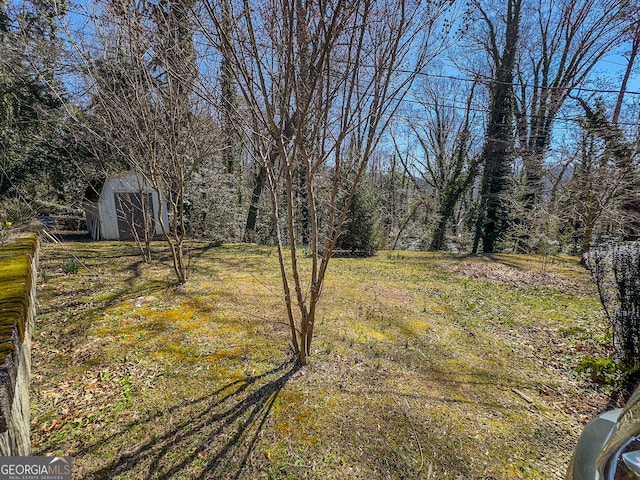 view of yard with an outdoor structure and a shed