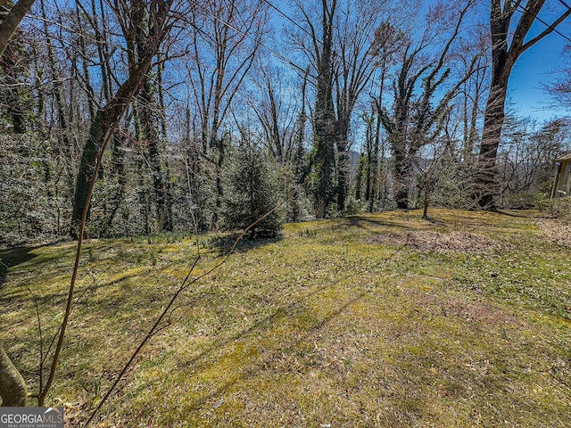 view of yard featuring a view of trees