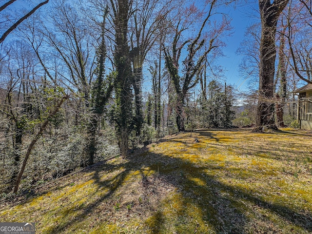 view of yard with a view of trees