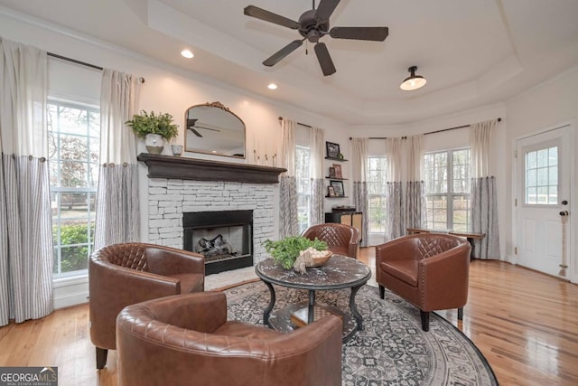 living room with a raised ceiling, plenty of natural light, and light wood finished floors