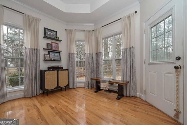 interior space with a tray ceiling, wood finished floors, and ornamental molding