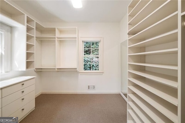 walk in closet featuring visible vents and carpet