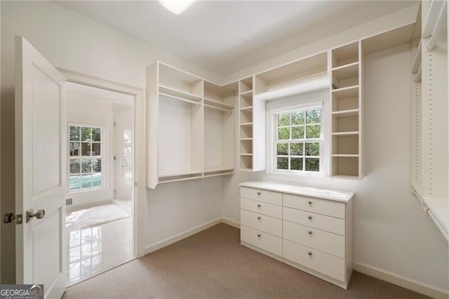 spacious closet featuring light colored carpet