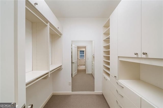 spacious closet featuring light colored carpet