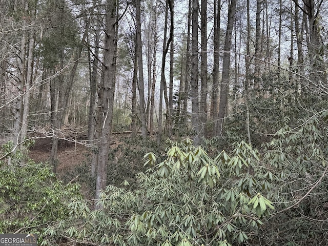 Listing photo 2 for 0 Old Flat Branch Rd, Ellijay GA 30540