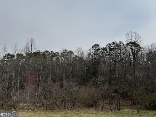 Listing photo 3 for 0 Old Flat Branch Rd, Ellijay GA 30540