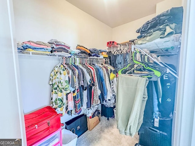 spacious closet with carpet floors