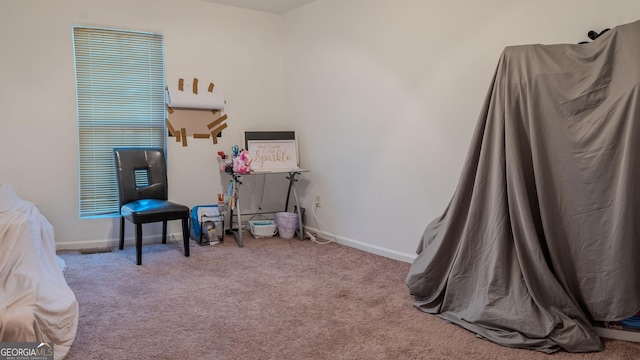 miscellaneous room featuring visible vents, baseboards, and carpet