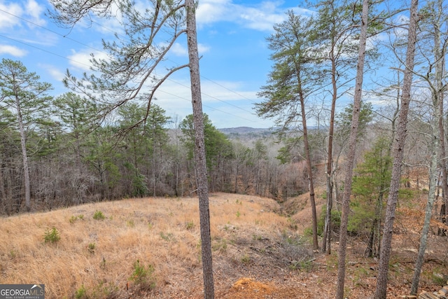 property view of mountains with a view of trees