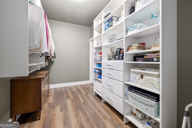 walk in closet featuring wood finished floors