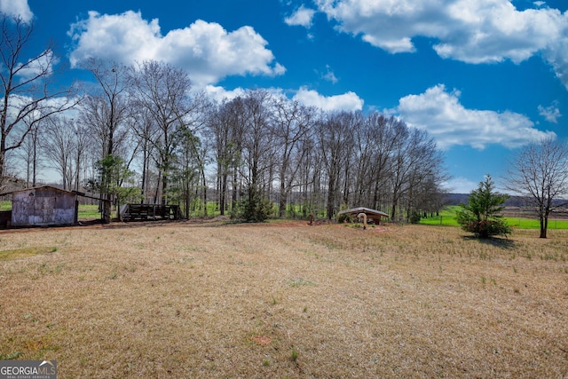 view of yard with a storage unit and an outdoor structure