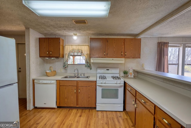 kitchen with a sink, under cabinet range hood, a textured ceiling, white appliances, and light countertops