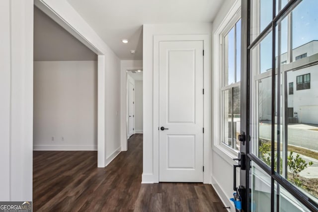 foyer with dark wood-style floors, a healthy amount of sunlight, and baseboards