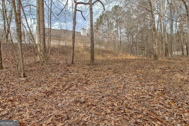 view of local wilderness